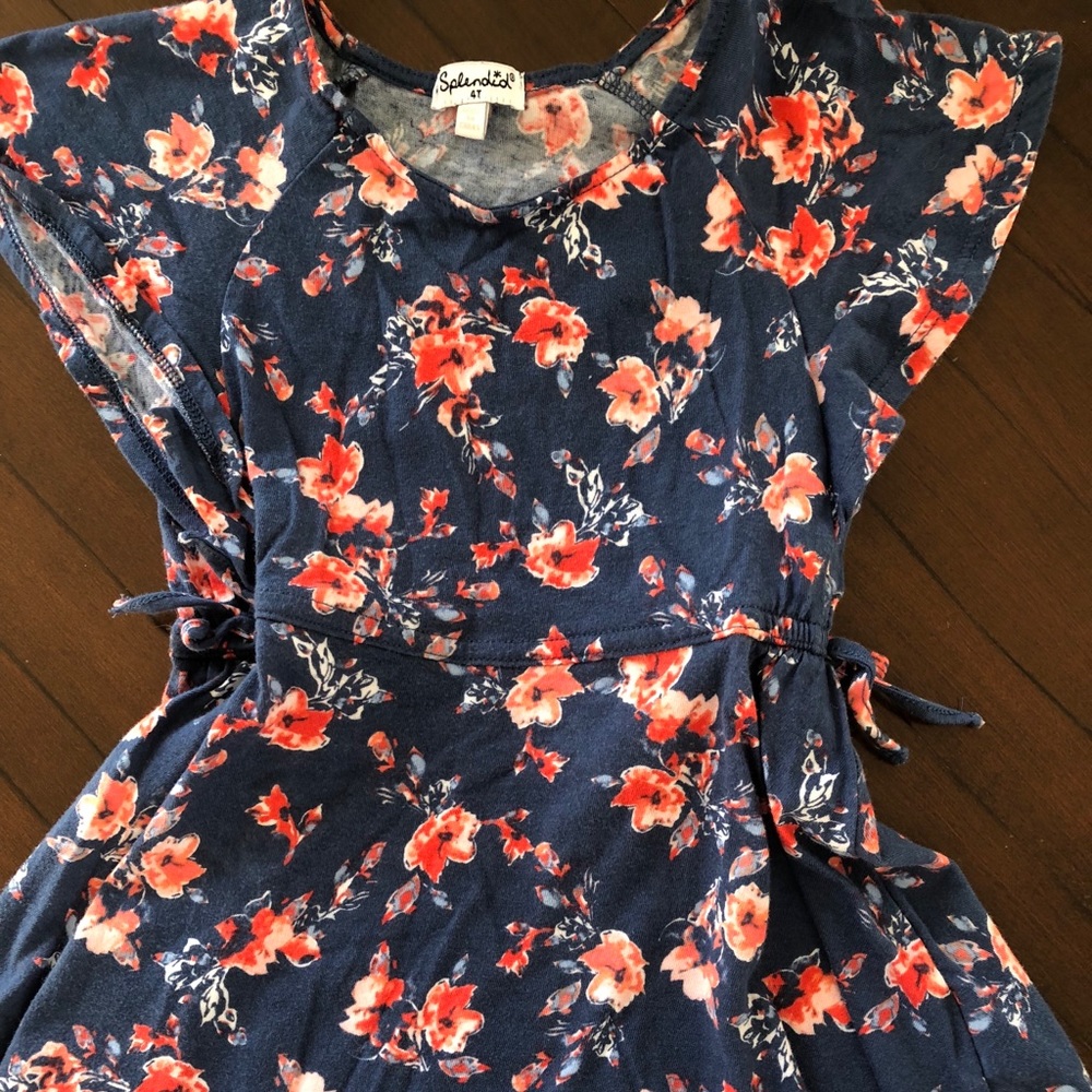 Splendid Girl’s Toddler Floral Print Ruffle Dress